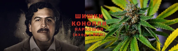 первитин Краснослободск