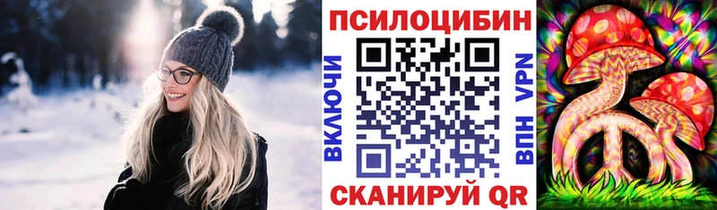 Галлюциногенные грибы Psilocybe  гидра ссылки  Любим 